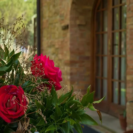 Daire Panoramic Renovated Barn With Terrace And Pool *